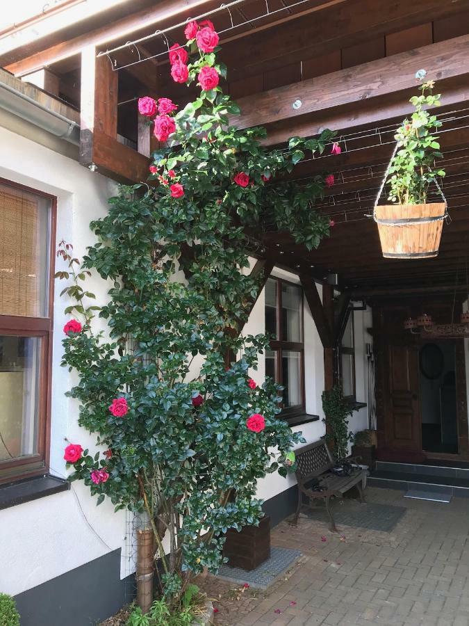 Wieko Ferienwohnungen Plauen Esterno foto