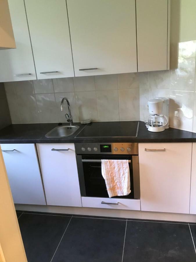 Wieko Ferienwohnungen Plauen Esterno foto